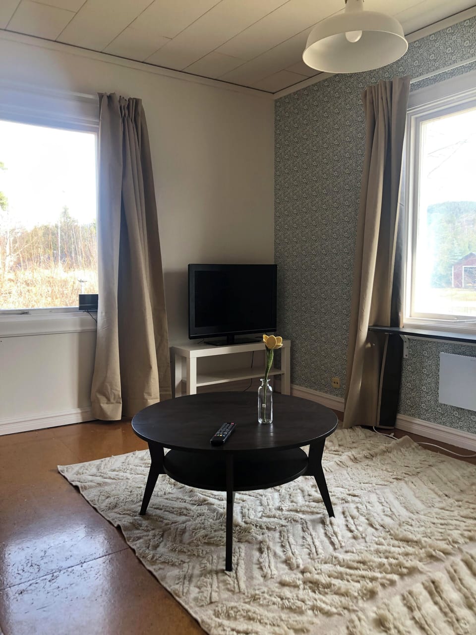 Basic Cottage, Mountain View | Living area | 63-inch flat-screen TV with satellite channels