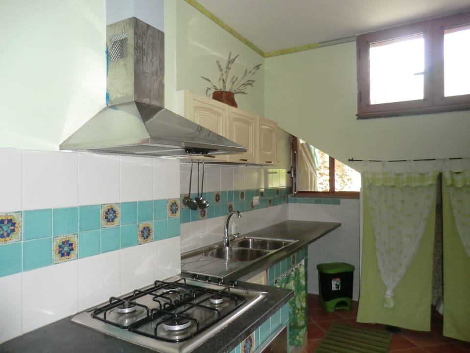 Apartment, 1 Bedroom | Private kitchen | Eco-friendly cleaning products, reusable coffee/tea filters
