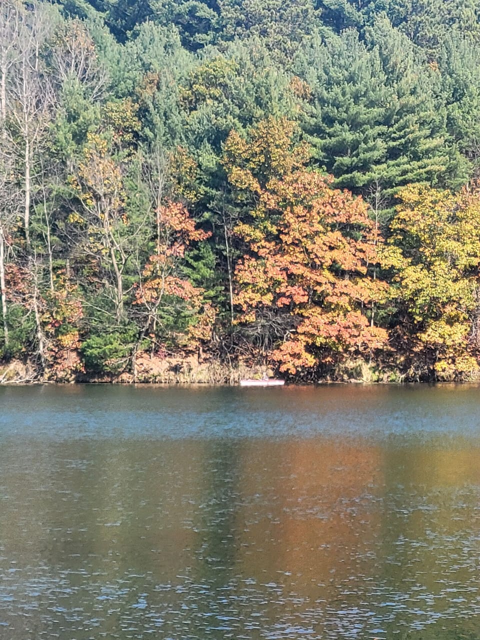 Cabin, 2 Bedrooms | Miscellaneous