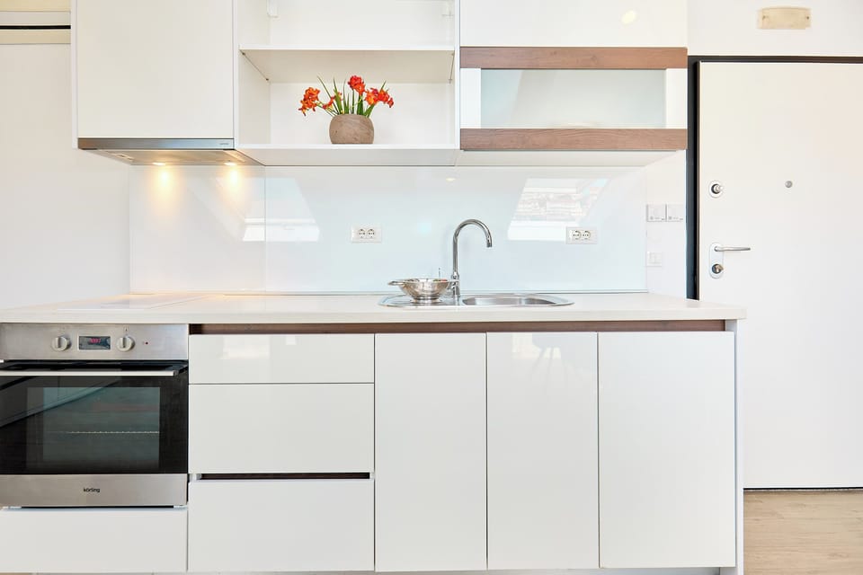 Oven, stovetop, dishwasher, electric kettle