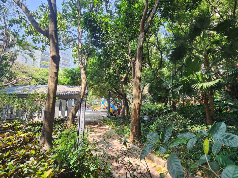 City view from property