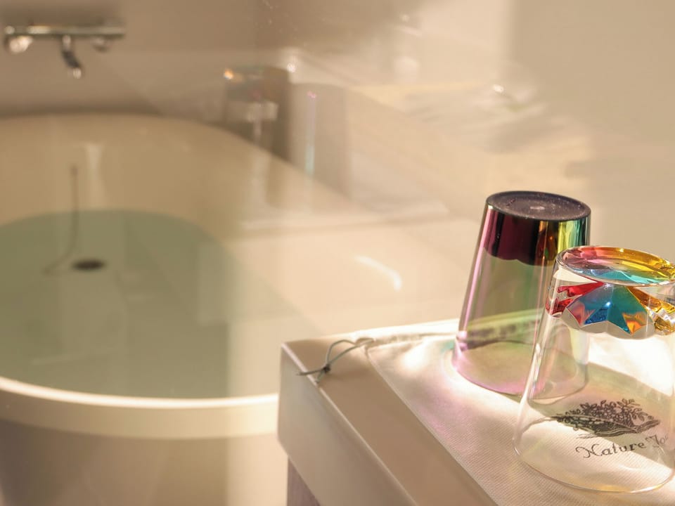 Separate tub and shower, hair dryer, slippers, bidet