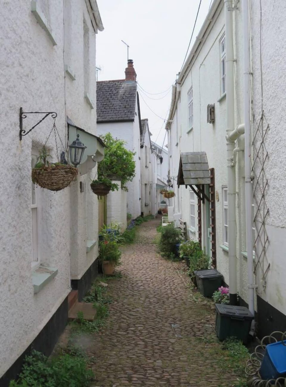 Cottage | Property grounds