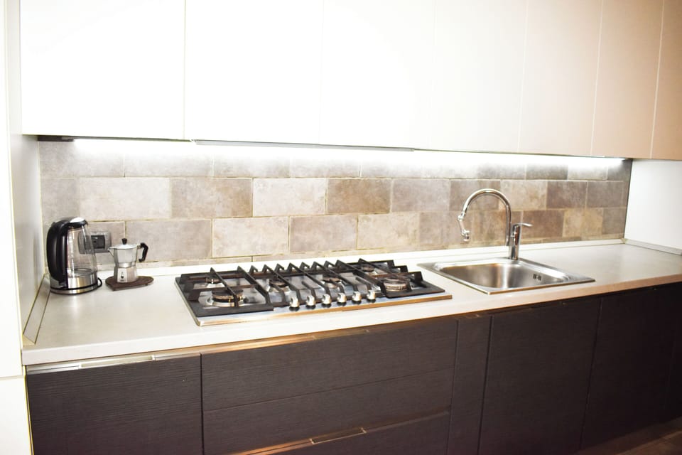 Apartment, Balcony, Lake View | Private kitchen | Fridge, oven, stovetop, cookware/dishes/utensils