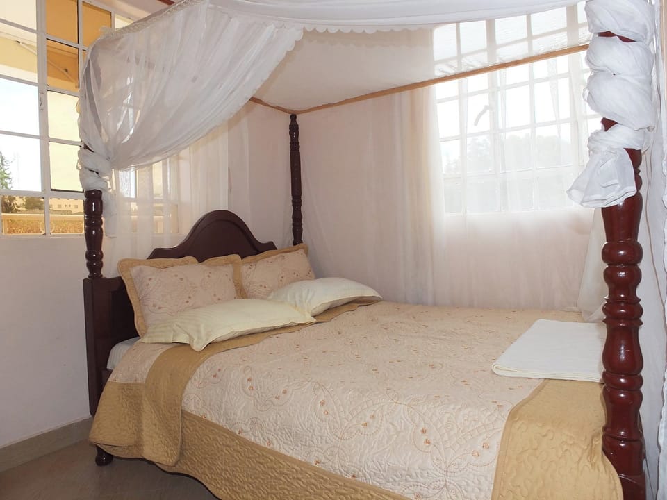 Classic Single Room, City View | Free WiFi, bed sheets