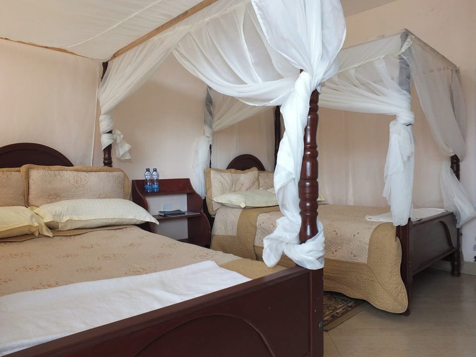 Family Twin Room, City View | Free WiFi, bed sheets