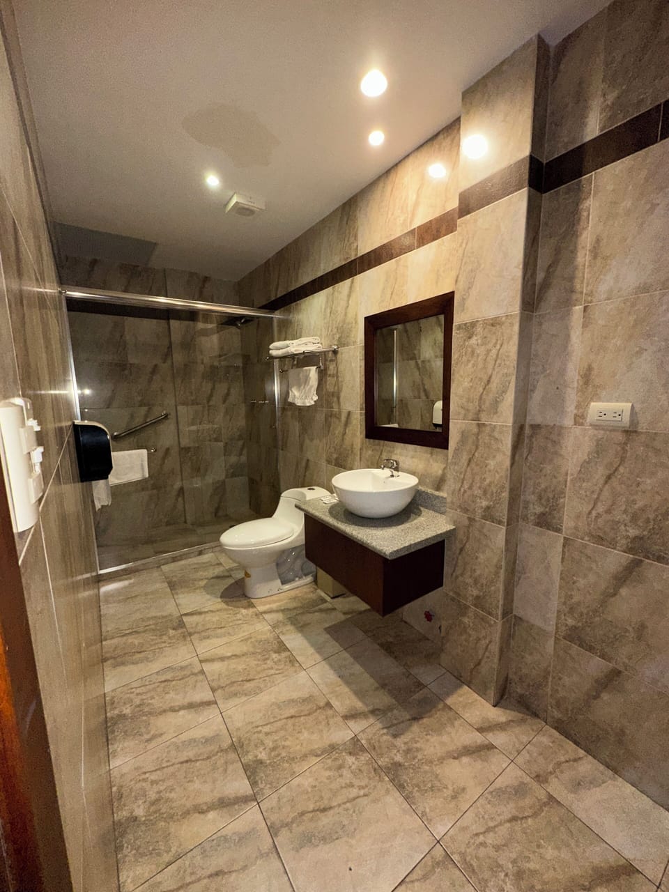 Premium Double Room | Bathroom | Shower, towels, soap, shampoo