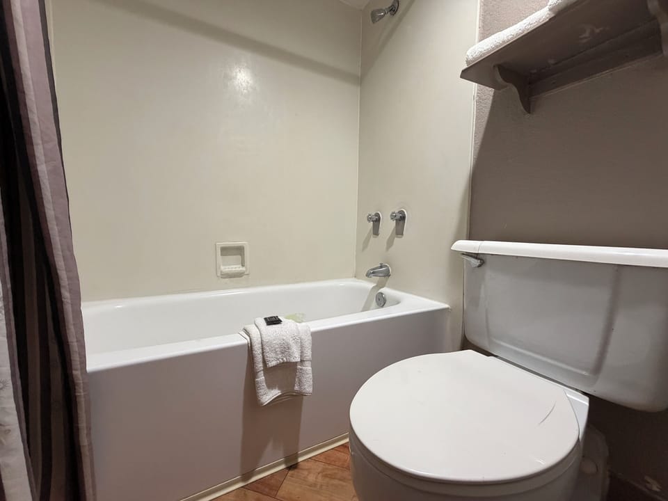 Combined shower/tub, hair dryer