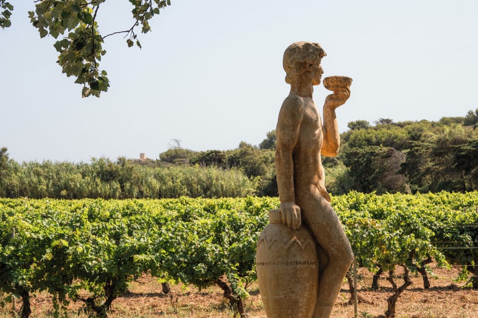 Vineyard