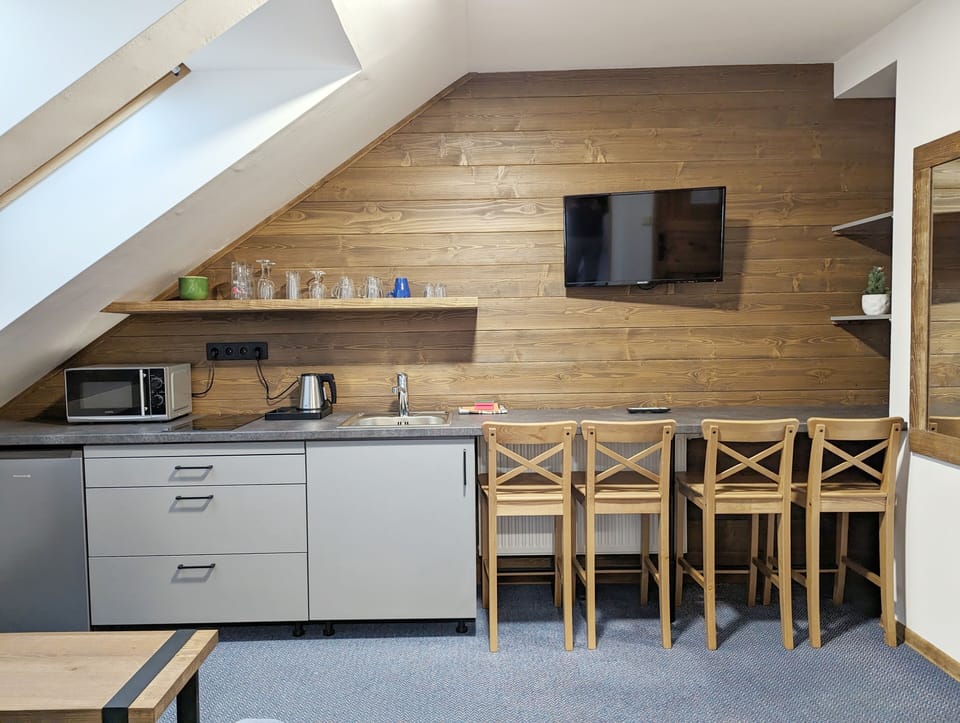 Studio (2+2) | Private kitchen | Shared fridge, microwave