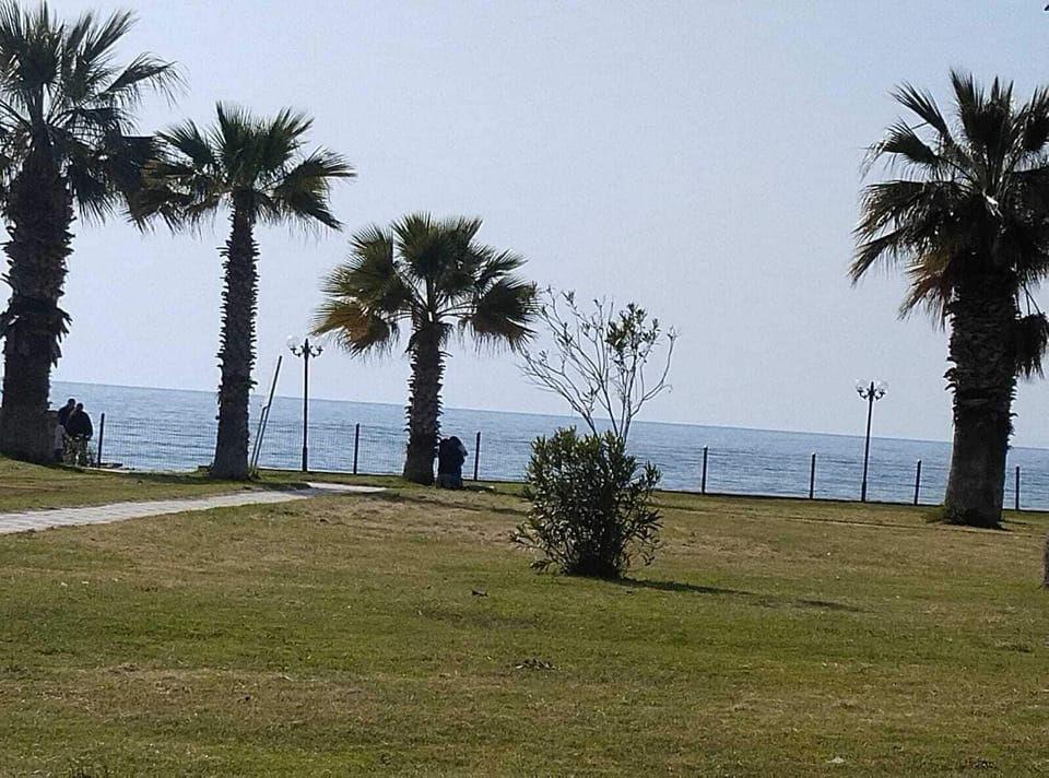 On the beach, sun loungers, beach umbrellas, 3 beach bars