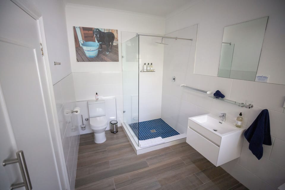 Free toiletries, hair dryer, bathrobes, towels