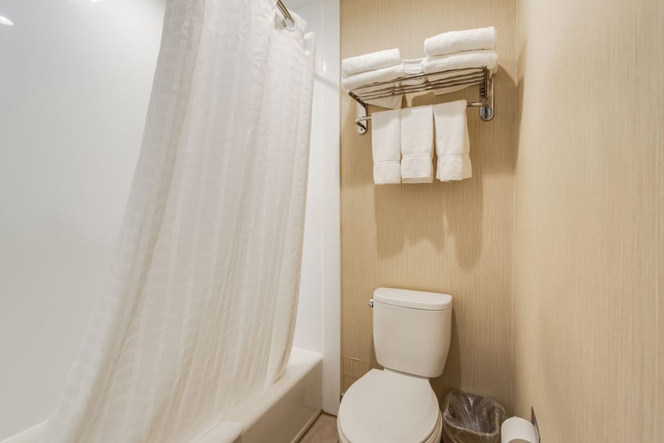 Combined shower/tub, hair dryer, towels, soap