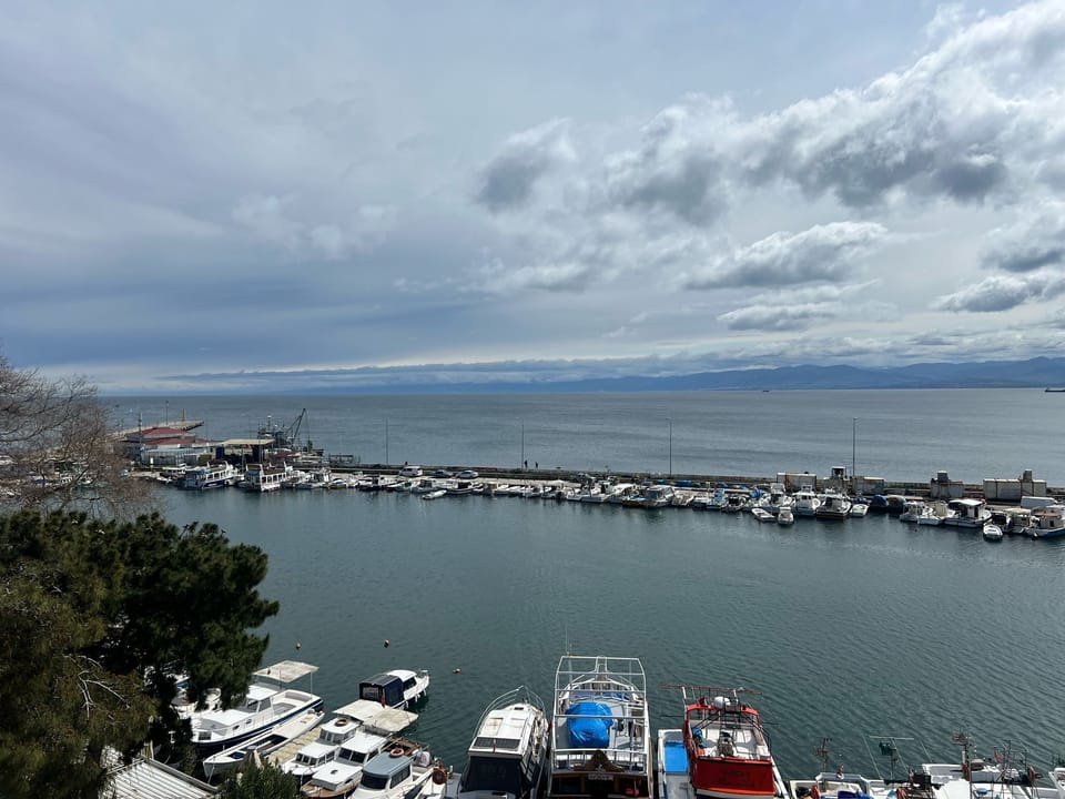 View from property