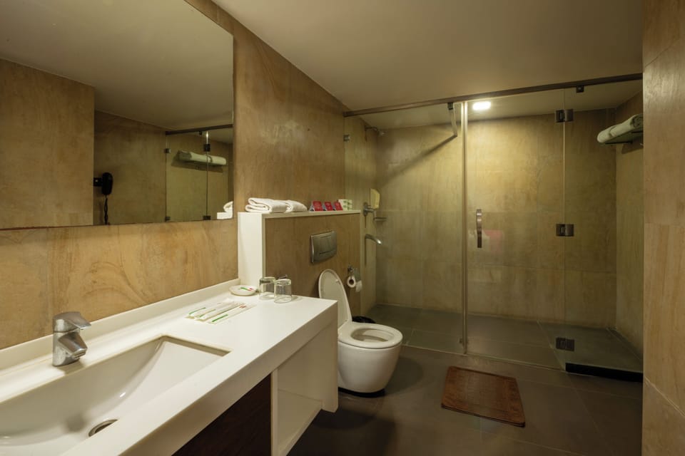 Shower, hydromassage showerhead, free toiletries, hair dryer