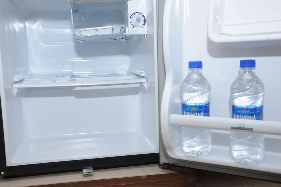Executive Double or Twin Room, 1 Bedroom | Mini-refrigerator