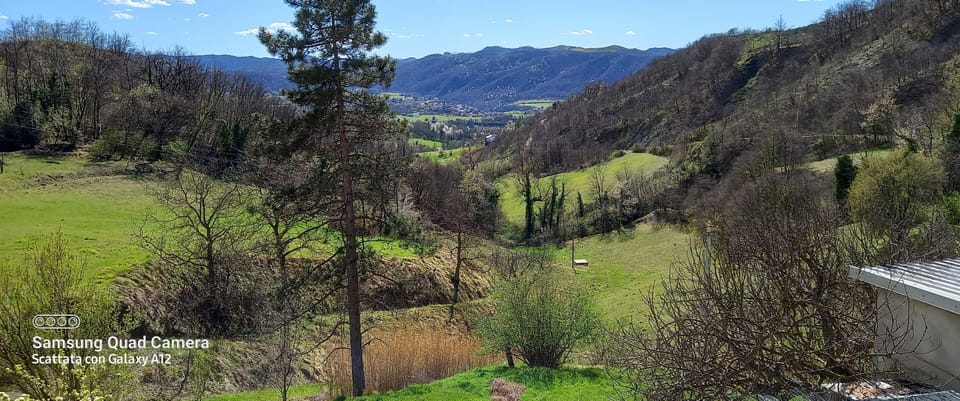 Land view from property