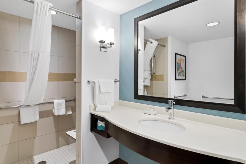 Room, 1 King Bed, Accessible | Bathroom shower