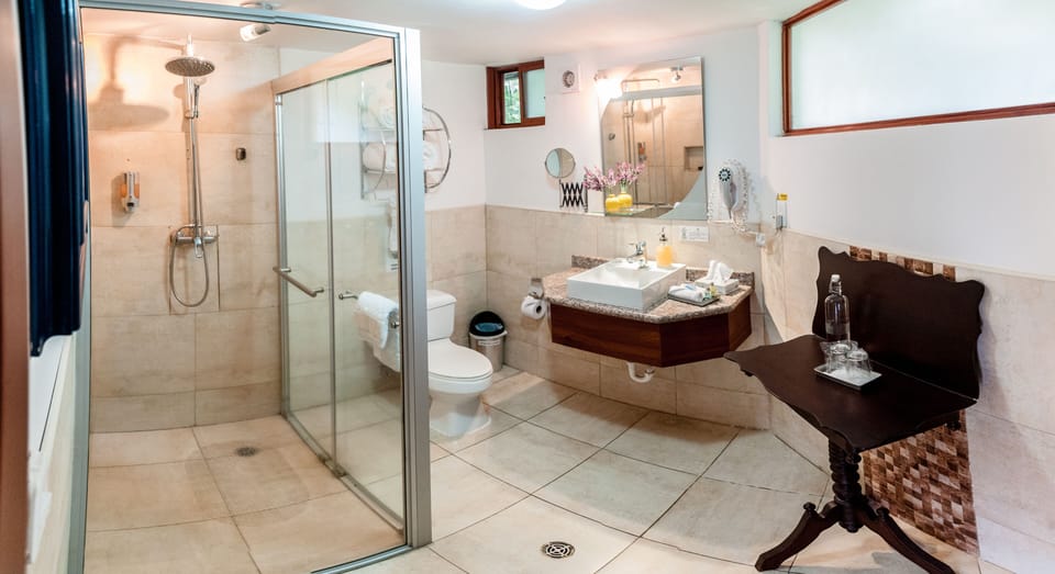 Shower, free toiletries, hair dryer, bathrobes