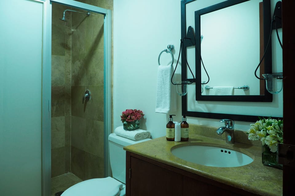 Deluxe Apartment, 2 Bedrooms, Kitchenette, City View | Bathroom | Shower, hair dryer, towels