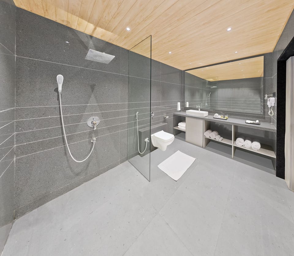 Shower, free toiletries, bidet, towels