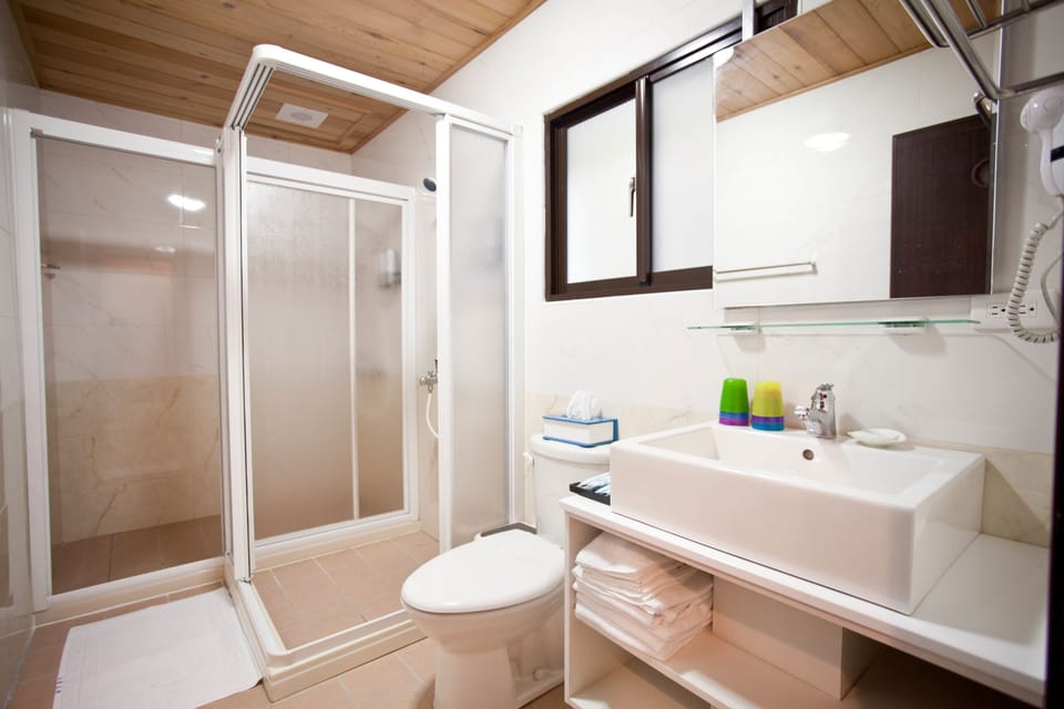 Family Room | Bathroom | Rainfall showerhead, hair dryer, electronic bidet, towels