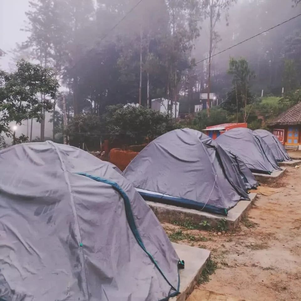 Basic Tent, Patio | WiFi (free)