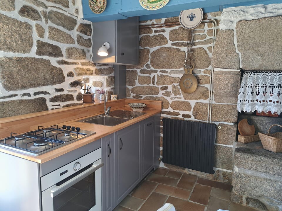 House | Private kitchen | Fridge