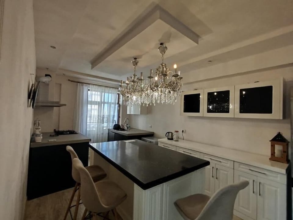 Deluxe Apartment, Balcony, Lake View | Private kitchen | Electric kettle, griddle, spices, dining tables