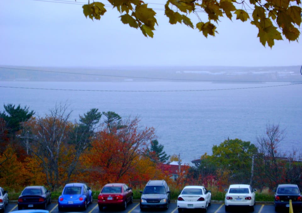 View from property
