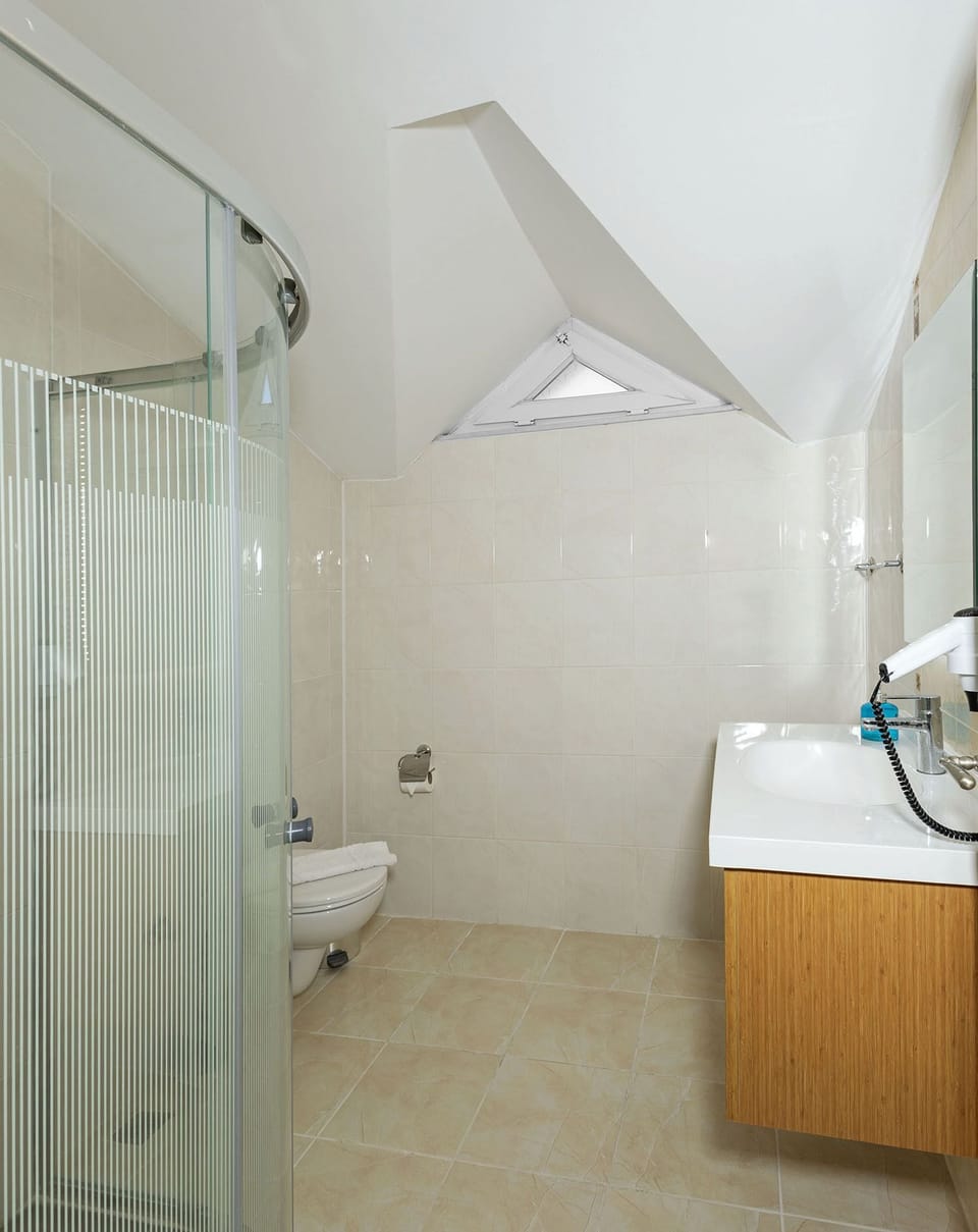 Loft Double or Twin Room | Bathroom | Shower, hair dryer, slippers, towels