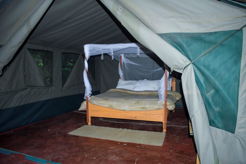 Economy Tent, Balcony, Vineyard View | Desk, laptop workspace, bed sheets