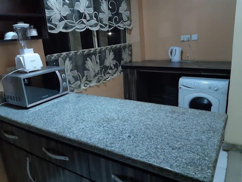 Economy Apartment, Balcony, City View | Private kitchen | Mini-fridge, oven, stovetop, dishwasher