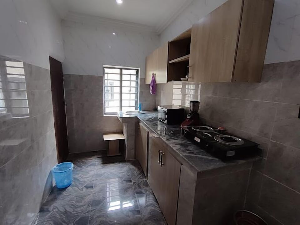 Deluxe Apartment, Balcony, City View | Private kitchen | Fridge, microwave, oven, stovetop