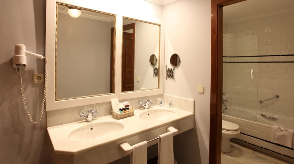 Hair dryer, bidet, towels