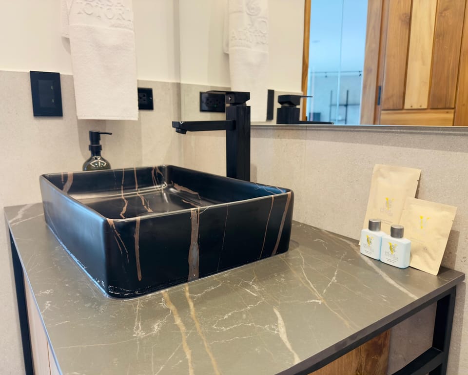 Hair dryer, bidet, towels