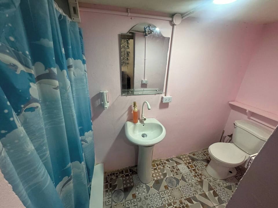 Separate tub and shower, free toiletries, towels, soap