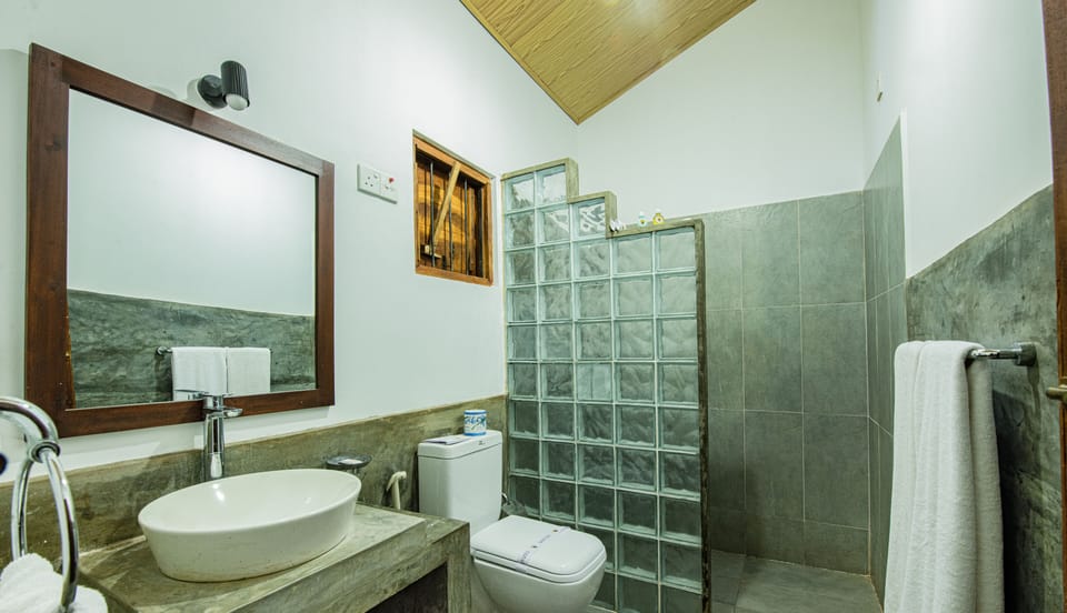 Shower, hair dryer, slippers, bidet