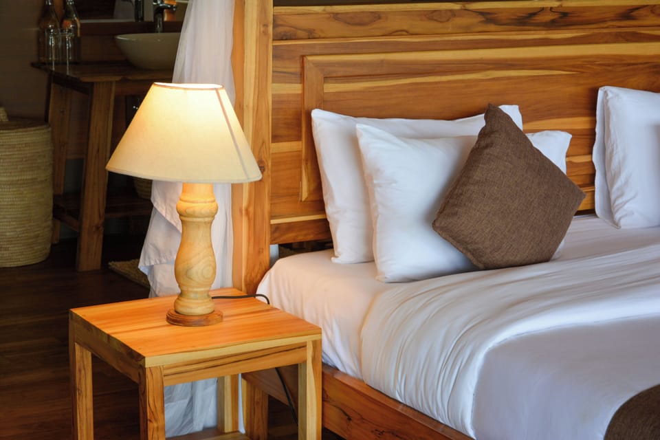 Deluxe Double or Twin Room, Park View | Premium bedding, down comforters, memory foam beds, in-room safe