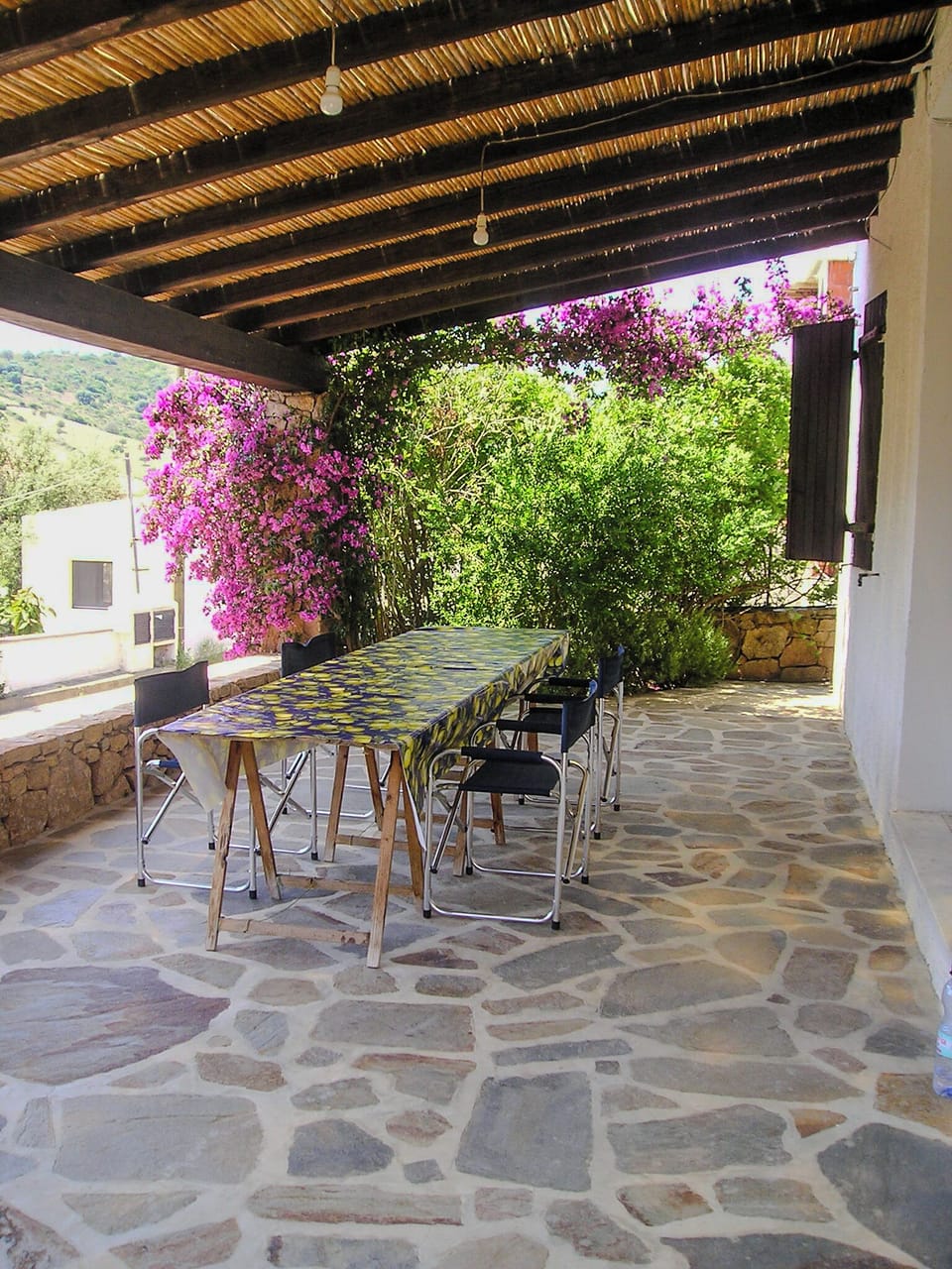 House, Patio | Terrace/patio