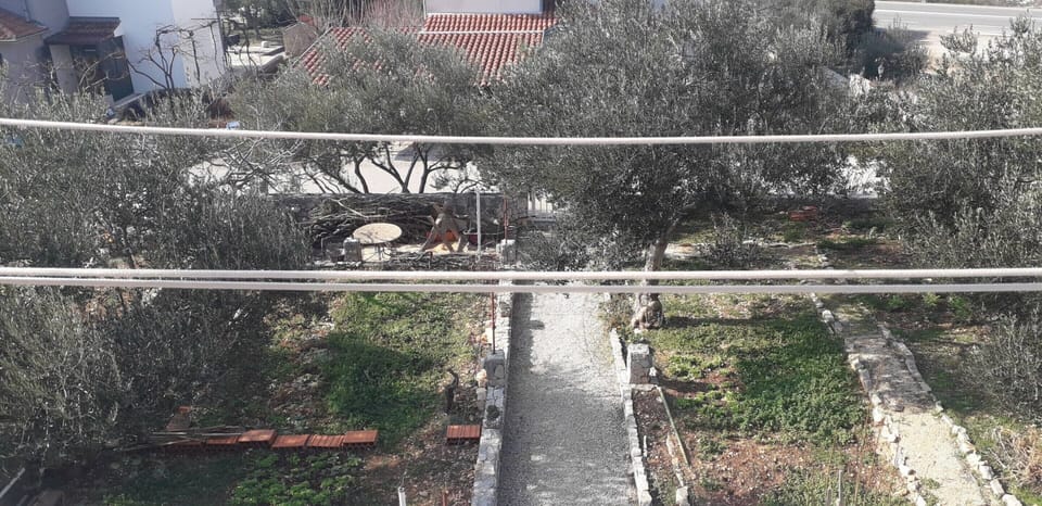 Apartment | Garden