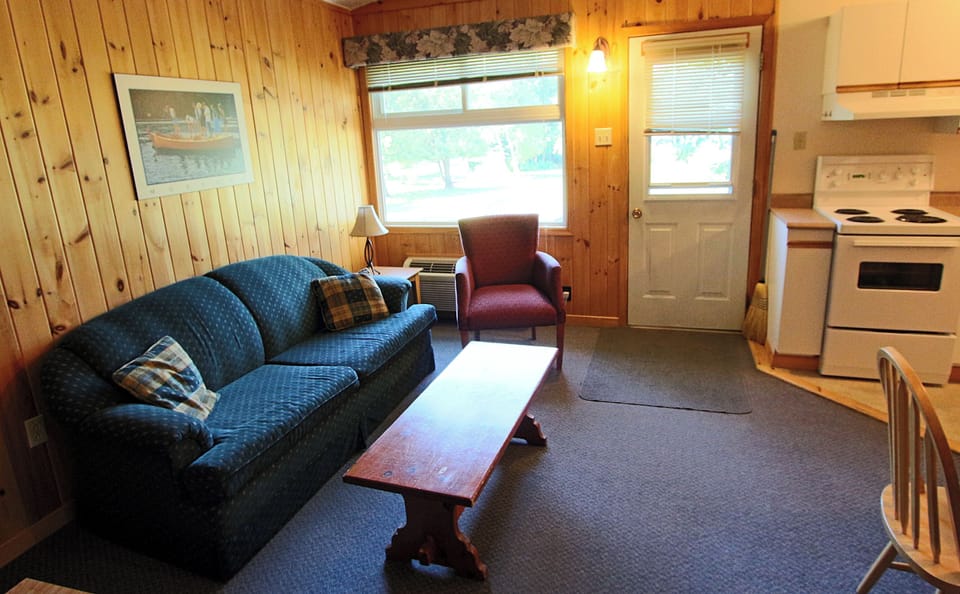 Deluxe Cottage #2 | Living area | 32-inch TV with satellite channels