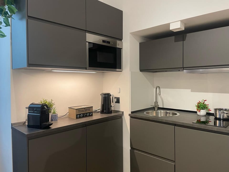 Apartment, 2 Bedrooms, Kitchen, City View | Private kitchen | Full-size fridge, microwave, stovetop, espresso maker