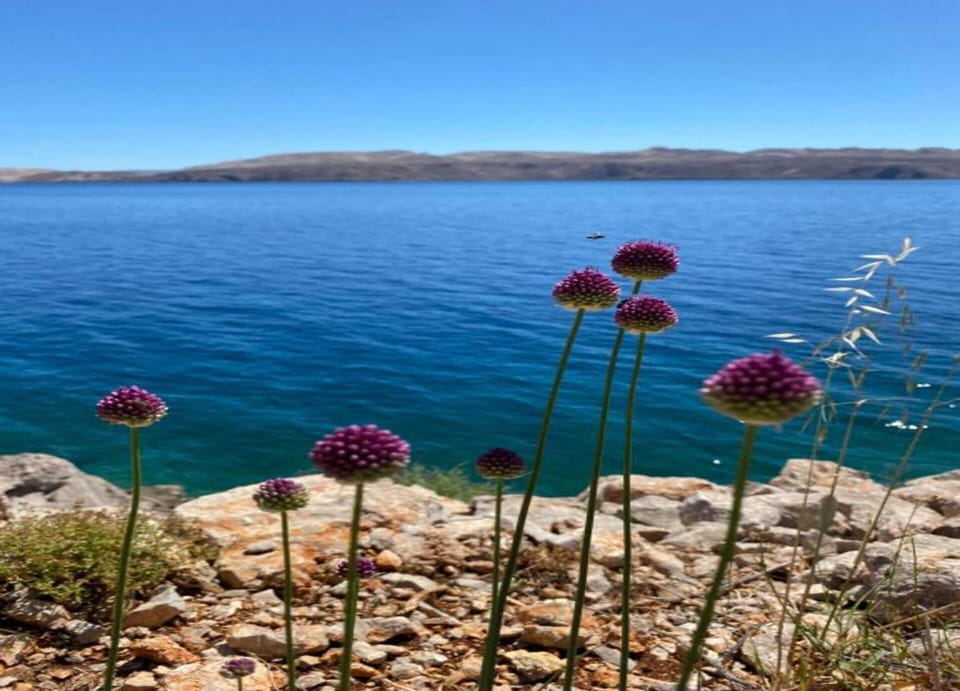 Apartment | View from property