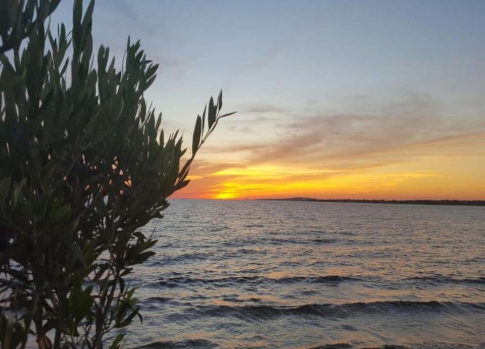 Apartment | View from property