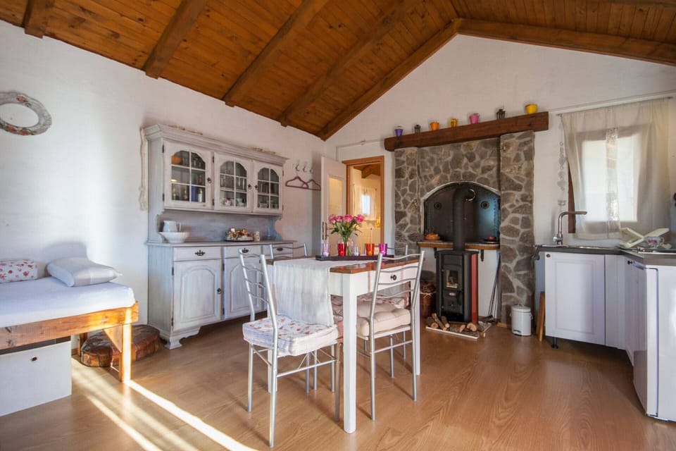 Apartment | Dining