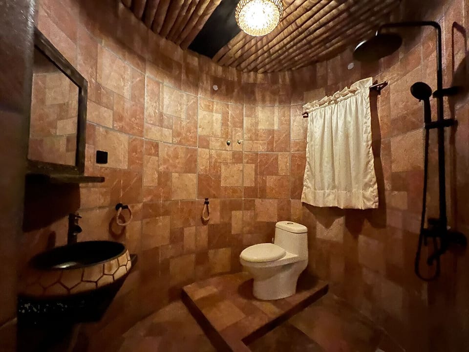 Shower, towels, soap, toilet paper