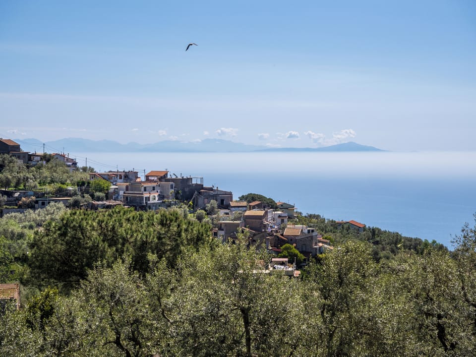 Panoramic Apartment, Sea View | Water view