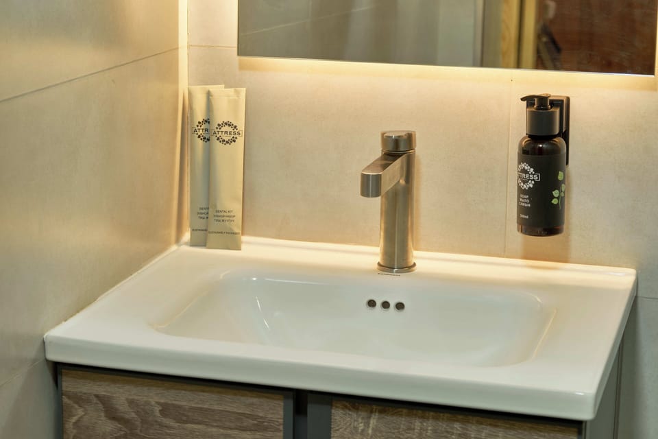 Shower, free toiletries, hair dryer, bidet