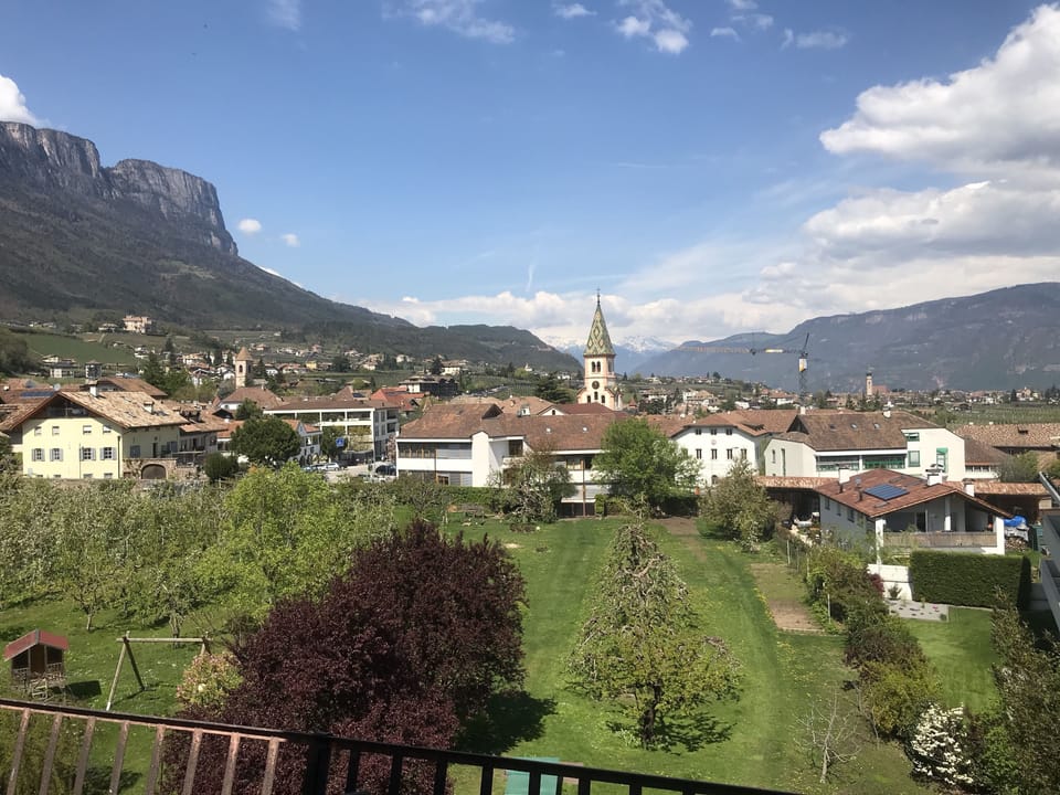 View from room